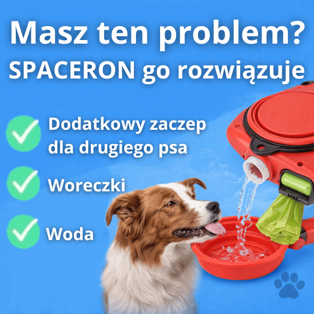 SPACERON - Smycz 3W1