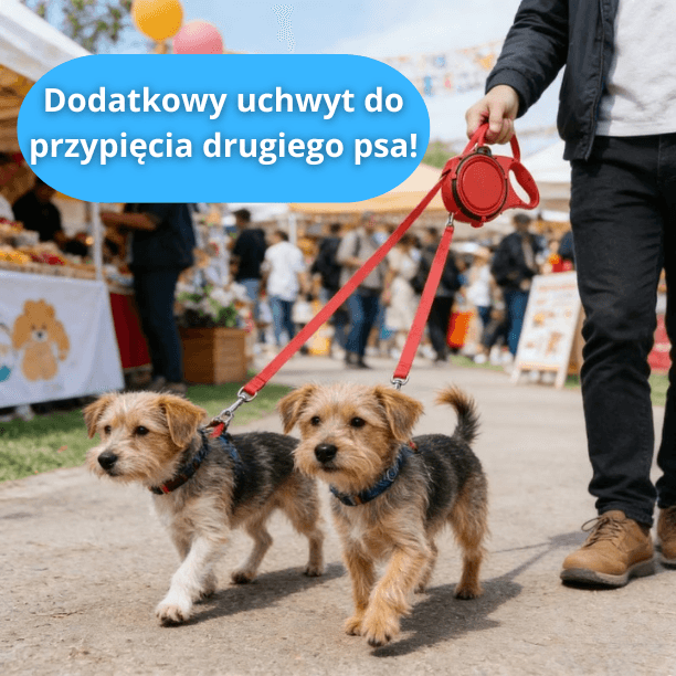 SPACERON - Smycz 3W1